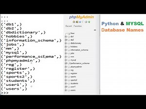 How to get The database names MYSQL in python using command prompt