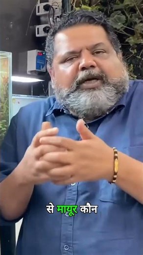 My Fish, My Aquarium, My Teacher