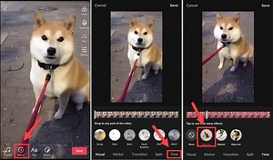 [Solved] How to Reverse a TikTok Video (Audio Included)