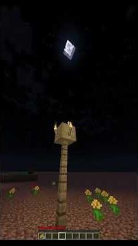 Did you guys see that? #minecraft #minecraftshorts #humor #viralhumor #mods #verity