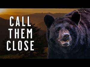 Black Bear Hunting Tips: How to Call Bears In CLOSE