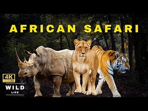 African Safari 4K - Ultimate Adventure | Wild Life Safari in Africa
