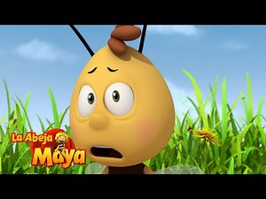 Doc Galán 🩺🐝 - Capítulos completos - La Abeja Maya