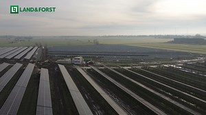 Agri-Photovoltaik: Deutschlands größter Mega-Solarpark startet