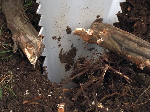 Best Root Slayer Shovels - Updated Nov 2025 - MyGardenZone