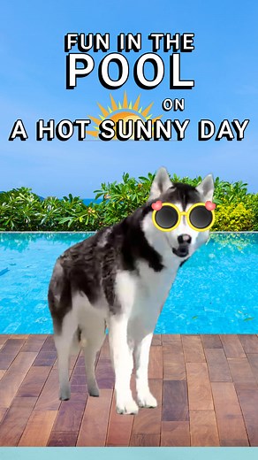 19K views · 1.4K reactions | We are dreaming of wam weather now! Once the snow melts, the dogs are ready for the next best time of the year, swimming in the pool! And hanging out by the pool as well! Happy Dogs! #poolside #swimming #poolparty | Snow Dogs Vlogs | Facebook