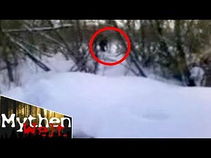 10 real reports of Yeti sightings