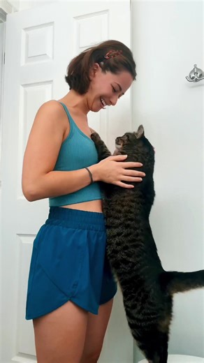 They say that cats can’t be trained or cats are stubborn….Well today I’ll share a slice of my life with you. Every time I come home my cat and I practice this routine, no matter for how long I’m out, I can just get behind the entrance door and back in and he reacts as if he hasn’t seen me all day. He’s always so happy to see me. It really warms my heart of how sweet pets can be. Enjoy this beautiful weekend, and I hope that you have someone in your life as happy and grateful to see you everyday,