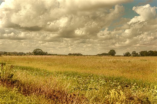 Florida man murdered, dismembered man because he was a sex offender: court docs