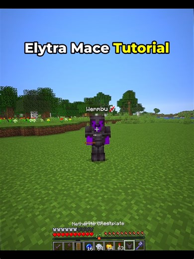 Minecraft Elytra Mace Tutorial Moment 💀 #minecraft | elytra minecraft