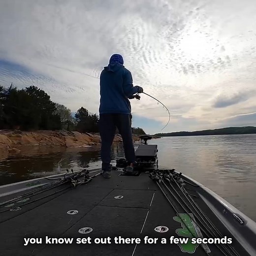 40K views · 410 reactions | Pro Fishing Wacky Rig TIPS! (Must Watch) | Andrew Upshaw | Facebook