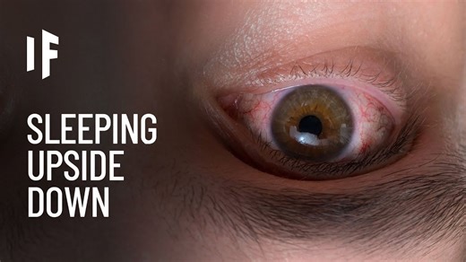 Imagine sleeping upside down like bats and adapting to it