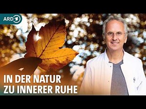 Stress reduzieren, Gewicht verlieren: Bluthochdruck natürlich senken - so geht's! | Natur-Docs