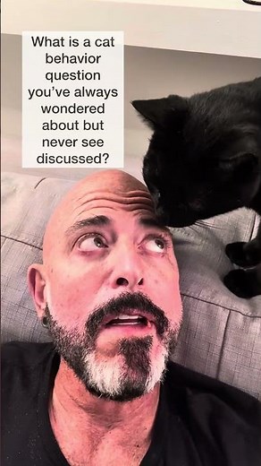 What is a cat behavior question you've always wondered about but never see discussed?