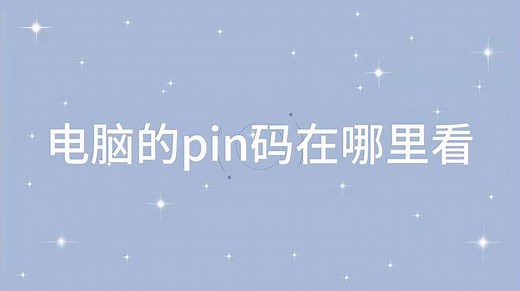 电脑的pin码在哪里看