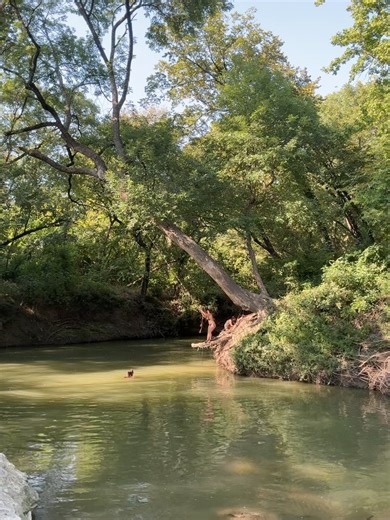 Layla | I’ve been swinging from this tree since childhood, and even then I somehow knew where the sweetest pockets of nature could be found.  It... | Instagram