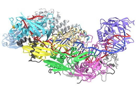 RNA-activated protein cutter protects bacteria from infection - MIT McGovern Institute