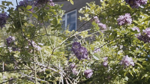 Operatunity #SAMA28 #Opera #onthisday