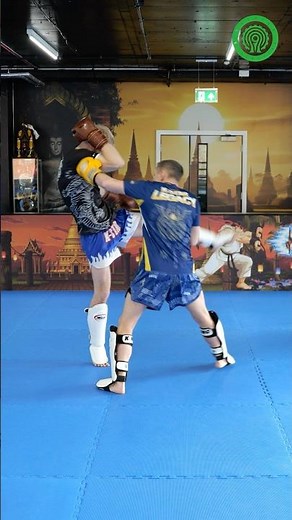 Muay Thai Training - BIG Left Hook to Counter the Body Kick with Damien Trainor