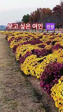 The woman I want to see #Jinseong Jinseong song Subscribe & Like #StyleStar