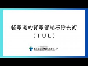 経尿道的腎尿管結石除去術（ＴＵＬ）