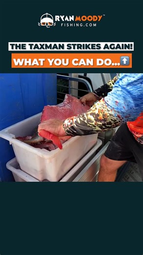 Master Offshore Fishing Techniques for Better Catch