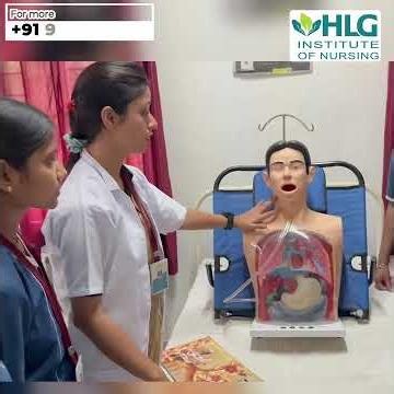 HLG Institute - Student Feedback