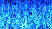 Water wave transition animation on a transparent background. Flowing...