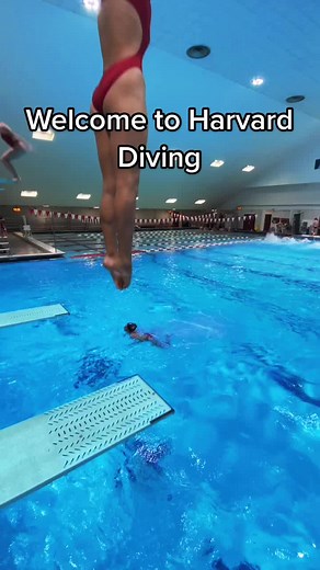 First TikTok 🤓 #fy #harvard #harvard2025 #harvarduniversity #diving #college #collegediving #olympics #flips