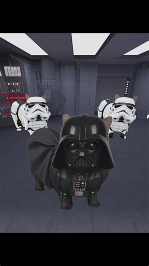 Star Wars Cat Meme: Spinning Ethel in Action