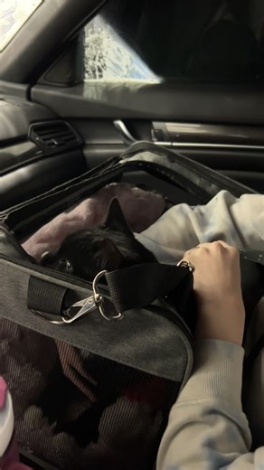 My First Car Wash Experience