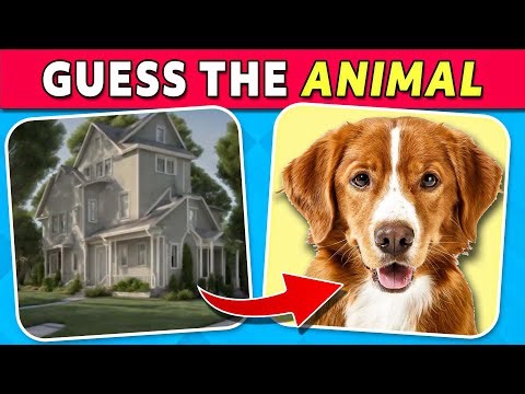 Guess the Hidden Animals by ILLUSIONS 🐶🐯🐵 Optical Illusion Hard Quiz | The Quiz Series