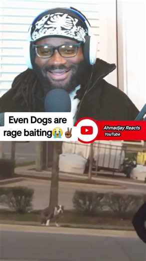 This Dog Just Sat There… She Ran For Her Life 💀 #react #funnyvideos