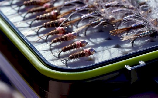 The Frenchie Explained: When, Why, and How it Works | MidCurrent