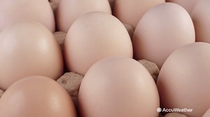 Rumor has it that you can only balance an egg once a year during the spring equinox, but is that really true? What is the origin behind this belief? https://bit.ly/2TVorBP | AccuWeather
