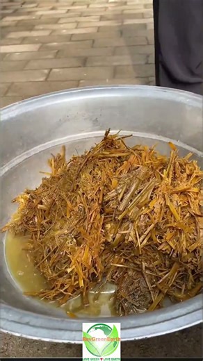 Wheat Straw to Paper Magic