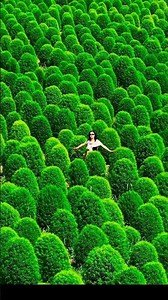Top 4 Tourist attractions places on earth 🌎 #travel #nature #adventure #explore