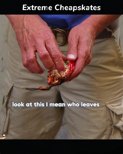 Extreme Cheapskates: Gourmet Meals from Trash Ingredients