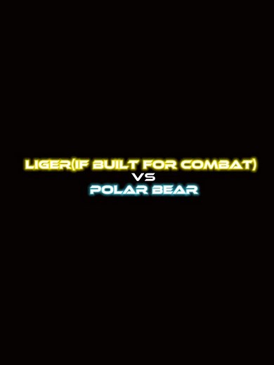 Liger vs Polar Bear Animal Fight Video