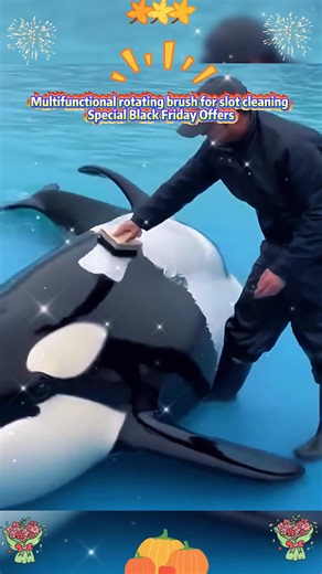 Black Friday Deal! Multi - Function Rotating Crevice Cleaning Brush, 360° streak - free cleaning for bathroom & kitchen! #BlackFriday #CleaningTool #CreviceBrush #KitchenCleaning #BathroomCleaning