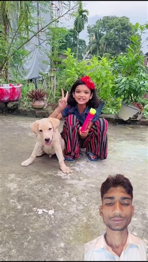 #TIMELAPSE, START to FINISH Alone BUILDLOG Cabin Wooden House How ShortFeed #short serial number 403