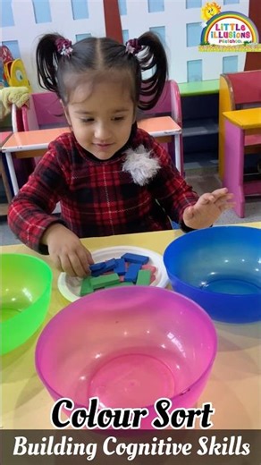 Colour Sorting Activity For Kids