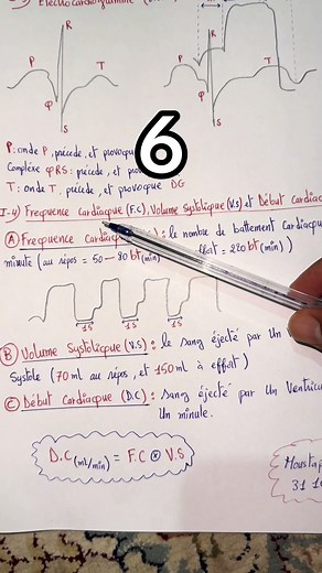 Fréquence cardiaque, volume systolique et début cardiaque expliqués