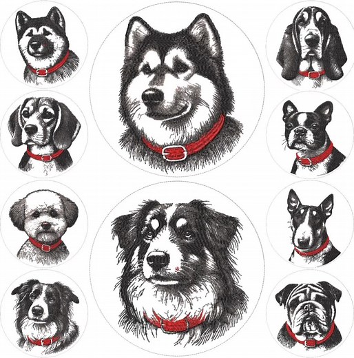 Dog Embroidery Designs Bundle – 10 Dog Breeds Machine Embroidery Files Set 1, Dst Pes Jef Exp Hus Vp3 Instant Download - Etsy