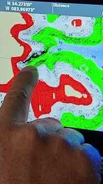 Hummingbird tips 4 ... Ditch Hunting