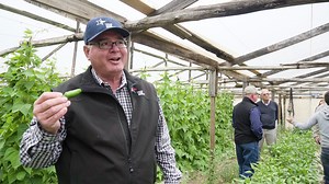 5.5K views · 1K reactions | Agriculture in Chile. Aggressive. Competitive. Diverse. Texas farmers and ranchers saw it up close. And found common ground with Chilean farmers. | Texas Farm Bureau | Facebook