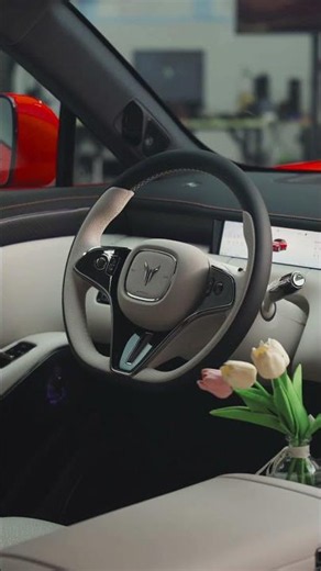 All New 2027 Voyah Passion S EV #luxurymotors #luxurycars