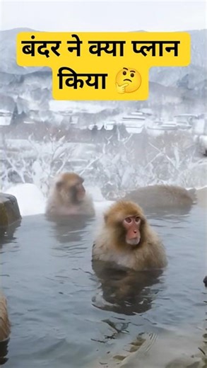 monkeys cold shower #shorts #trending #funny #comedy
