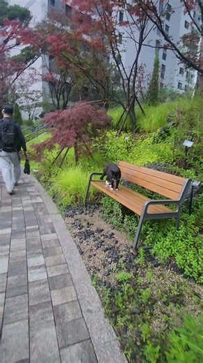청춘항구