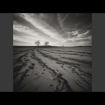 They're Gonna Explode